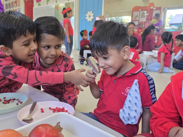 Orchid home page gallery images 4