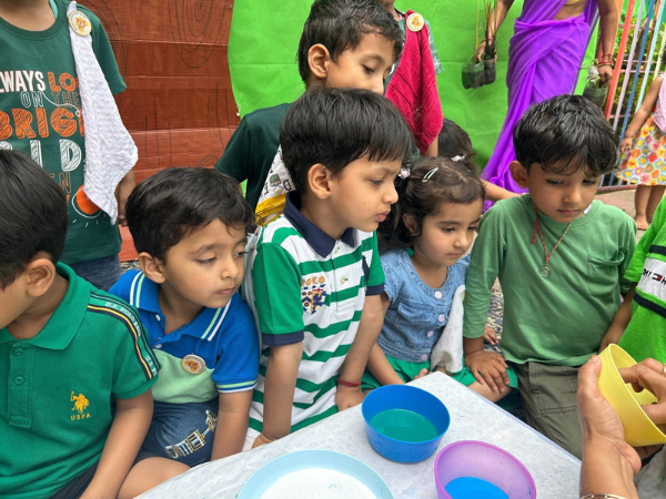 Orchid home page gallery images 7