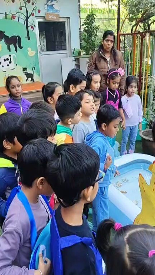 Instagram post from orrchid_montessori_house. This post is in position 8.