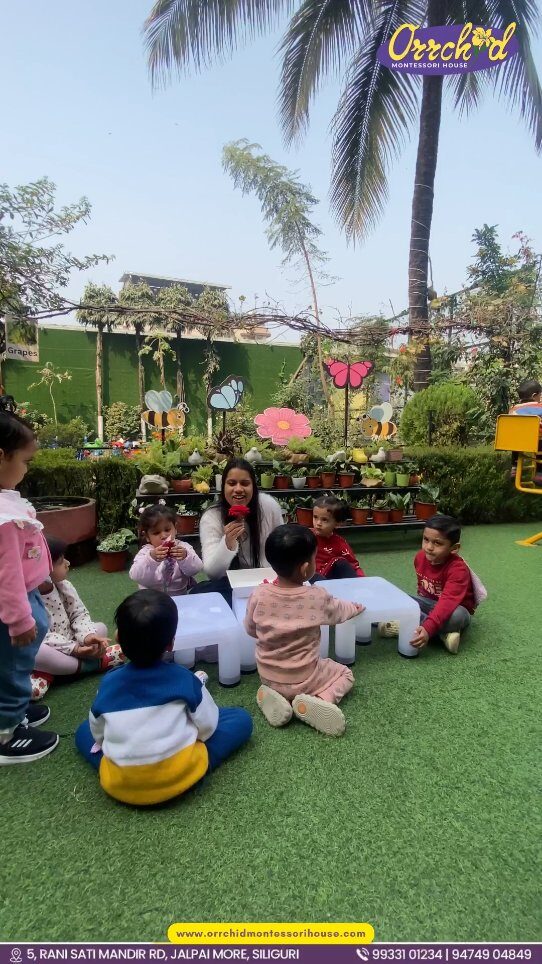 Instagram post from orrchid_montessori_house. This post is in position 4.