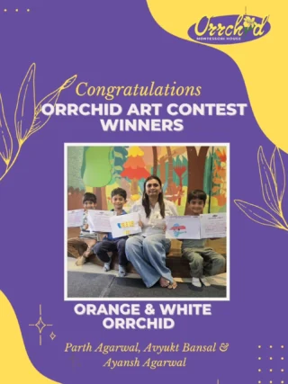Instagram post from orrchid_montessori_house. This post is in position 9.