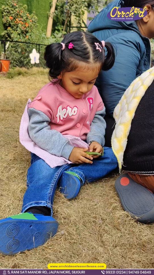 Instagram post from orrchid_montessori_house. This post is in position 7.