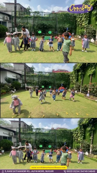 Instagram post from orrchid_montessori_house. This post is in position 1.