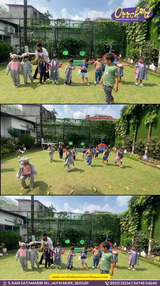 Instagram post from orrchid_montessori_house. This post is in position 0.