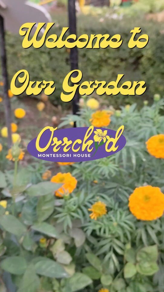 Instagram post from orrchid_montessori_house. This post is in position 1.