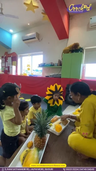 Instagram post from orrchid_montessori_house. This post is in position 6.